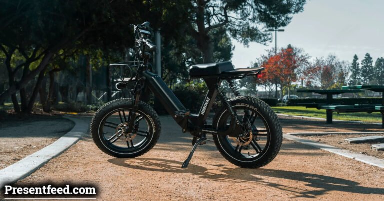 Long Range eBike